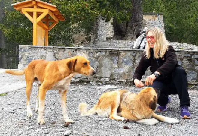 Maria Zolota, Vorsitzende des Tierschutzvereins „Peritas“ in Litochoro (Foto aus dem kostenlosen E-Book „Unsere Streuner am Olymp“)
