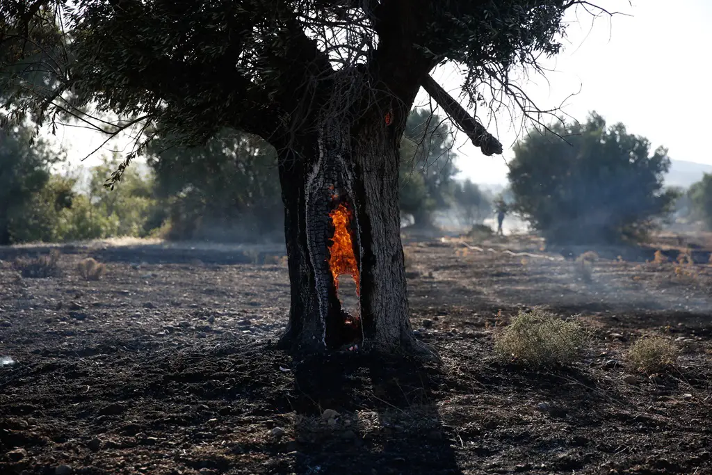 170801Braende3 SMALL