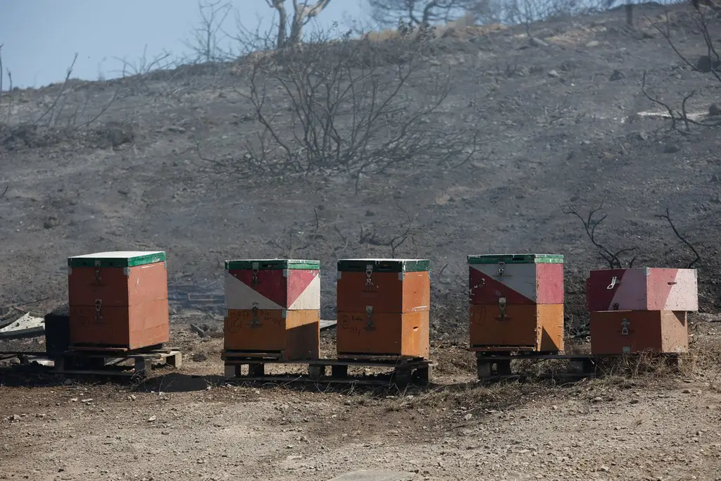 170804Brand Lagonissi3 SMALL