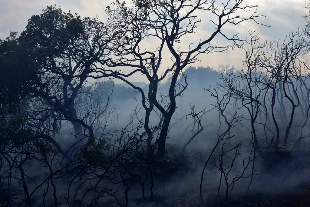 190806 Meteo 3 SMALL