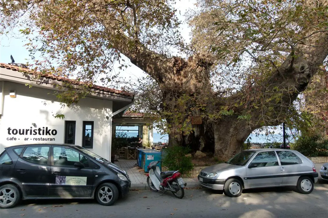 P1120296 Individuell