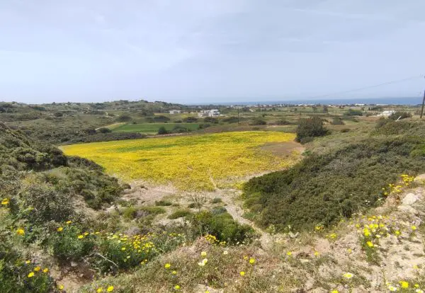 Mastichari in spring 1