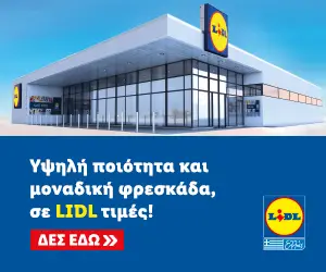 Banner Image Lidl