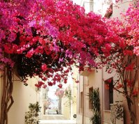 Foto (© GZ-Archiv): Nafplion