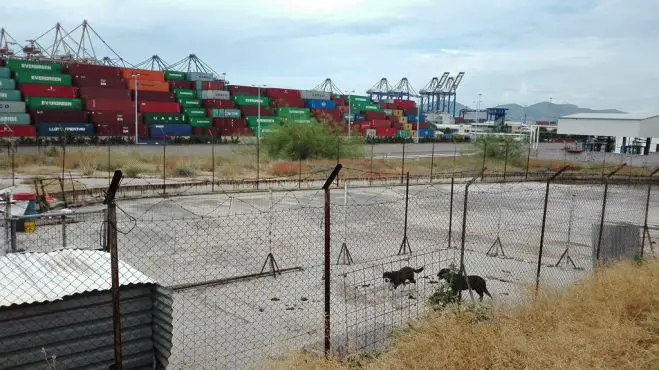 Das Tierheim befindet sich in der Nähe des Containerhafens von Perama