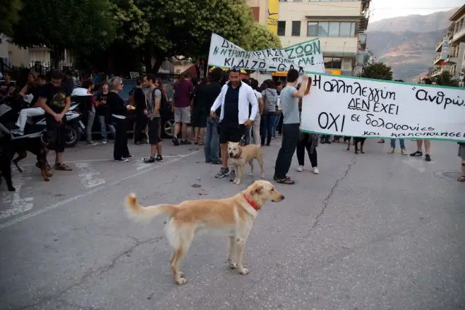Adoptionen von Hunden auf dem Athener Klafthmonos-Platz