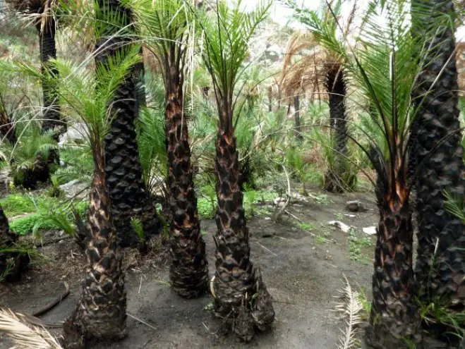 Archivfoto (© Eurokinissi)