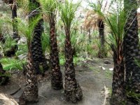 Archivfoto (© Eurokinissi)