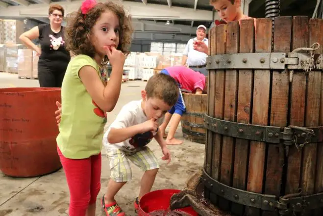 Die guten Tropfen auf dem Präsentierteller: Weinwoche in Athen <sup class="gz-article-featured" title="Tagesthema">TT</sup>