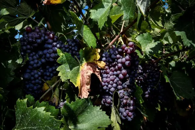 Unser Archivfoto (© Eurokinissi) 