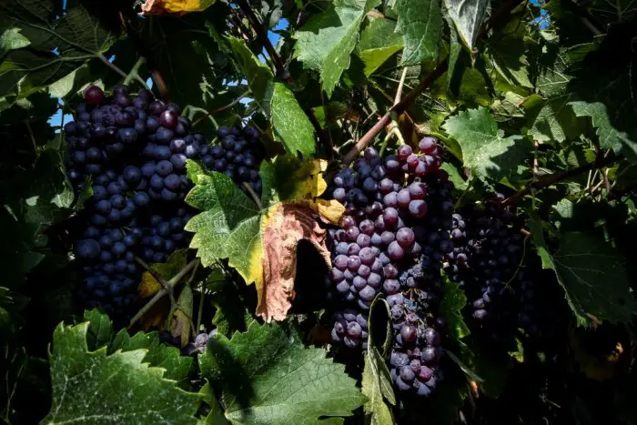 Unser Archivfoto (© Eurokinissi) 