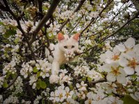 Unser Archivfoto (© Griechenland Zeitung / Jan Hübel)