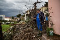 Unsere Fotos (© Eurokinissi) entstanden am Dienstag (2.2.) auf der Insel Samos.