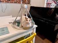 (© Georgia Tsonis / Griechenland Zeitung)