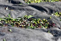 Archivfoto (©Eurokinissi)