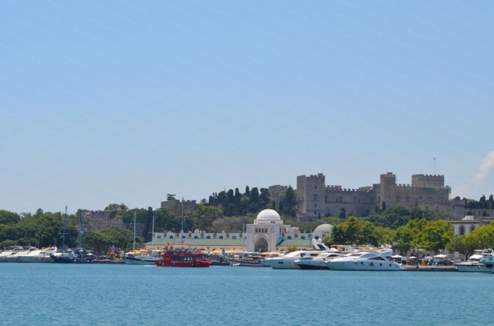 Auf der Suche nach Liebe