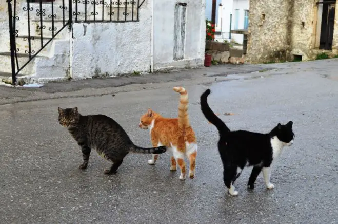 Insel-Dokus fürs Wochenende