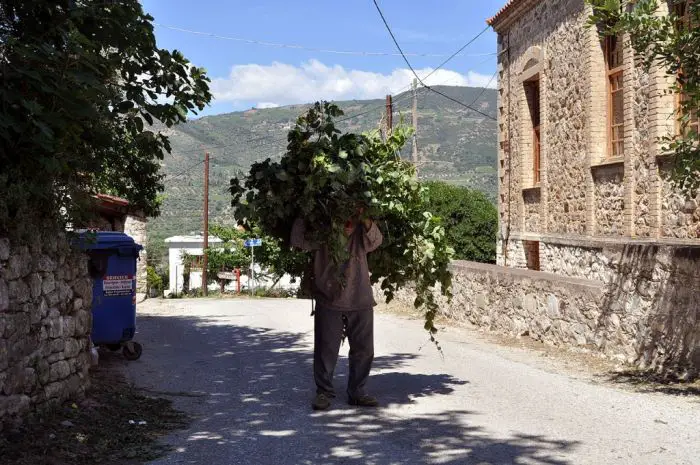 Aigio - Hellas ohne Filter