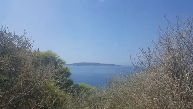 Unser Foto (© Griechenland Zeitung/ Celine Rebling) entstand in Vouliagmeni, einem Küstenvorort südlich des Athener Stadtzentrums.