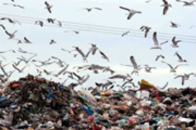 Gerichtsurteil gegen illegale Mülldeponien