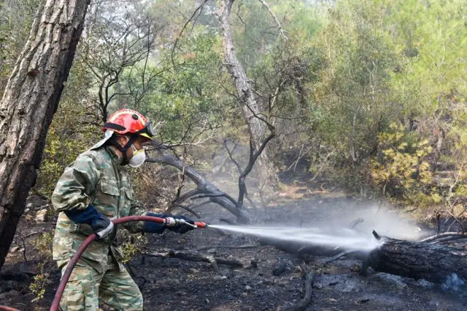 Foto (© Eurokinissi): Dem Waldbrand in der Region Evros sind 3.500 Hektar Wald zum Opfer gefallen.