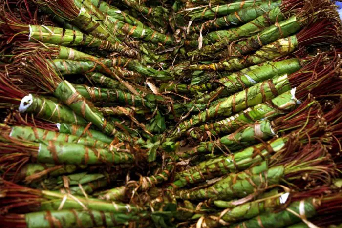 Unser Archivfoto (©Eurokinissi) zeigt die Droge KHAT.