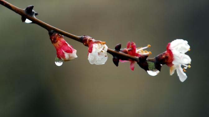 Das Wetter für Athen und Attika