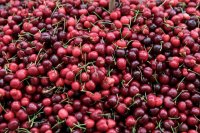 Archivfoto (© Eurokinissi)