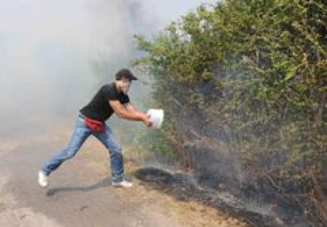 Waldbrände nun auch in der Nähe der griechischen Hauptstadt Athen