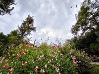  Archivfoto (© Eurokinissi)