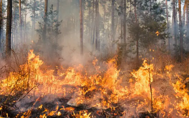 Symbolbild (© Canva) 