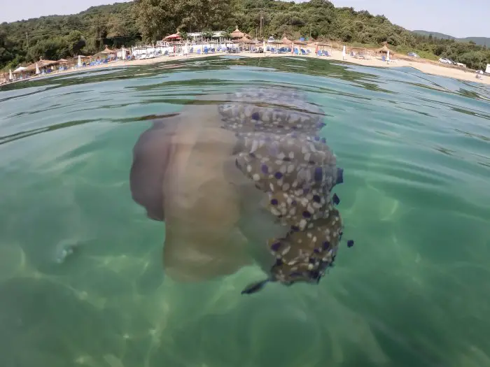 Archivfoto (© Eurokinissi)