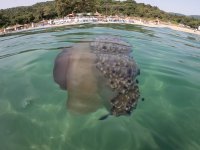 Archivfoto (© Eurokinissi)