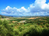 Foto: © Griechenland Zeitung / ms (Peloponnes, Amaliada)