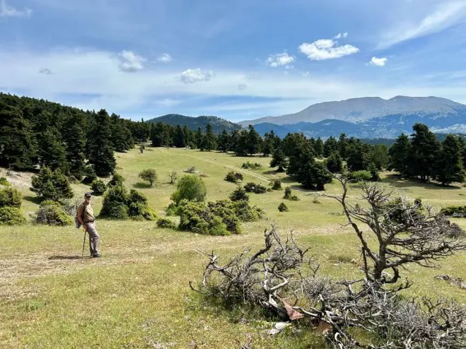 Hochebene im Parnass: eine nahezu unberührte Weidelandschaft, die stark dem Schweizer Jura ähnelt. (Fotos: GZgl/fm)