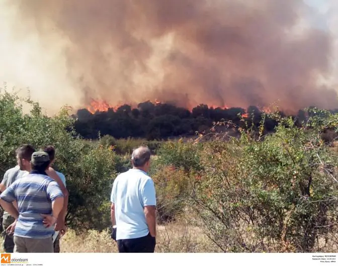 Waldbrände in Griechenland: Evros, Peloponnes und Kreta sind betroffen