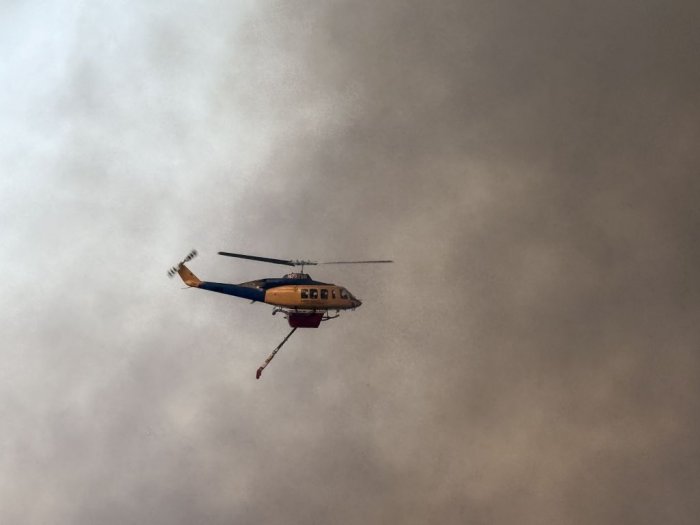 Unsere Fotos (© Eurokinissi) entstanden am Wochenende in der Nähe von Nafpaktos.