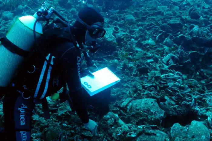 Reiche Unterwasserwelt: Unser Archivfoto (© Εurokinissi) entstand vor der Insel Alonnisos.