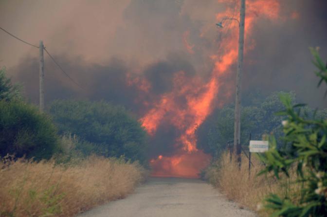 Notstand auf der Peloponnes wegen Waldbränden ausgerufen