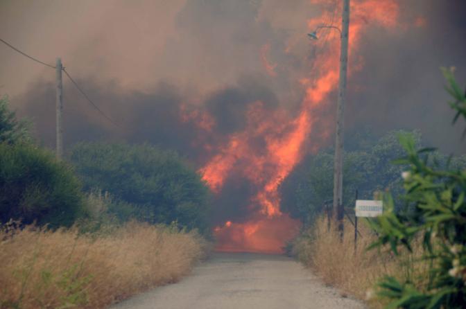 Notstand auf der Peloponnes wegen Waldbränden ausgerufen