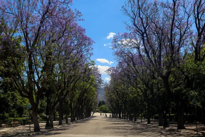 Sonne und Temperaturrückgang zum Abschluss der Woche