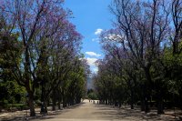 Sonne und Temperaturrückgang zum Abschluss der Woche