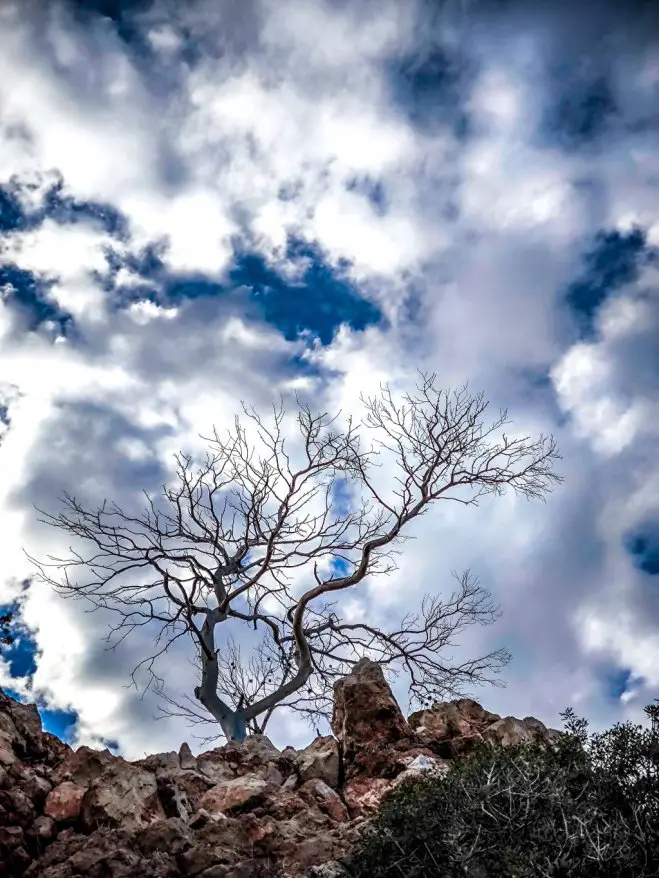 Archivfoto (© Eurokinissi)