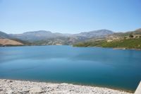 Kreta-Krokodil „Sifis“ tot aufgefunden 