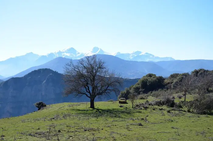 Foto (© Griechenland Zeitung / Jan Hübel): Lapanagoi, Peloponnes.