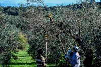 Archivfoto (© Eurokinissi)