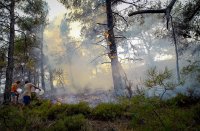 Archivfoto (© Eurokinissi)