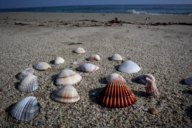 Archivfoto (© Eurokinissi)