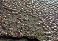 (Foto: fanis_spanos)