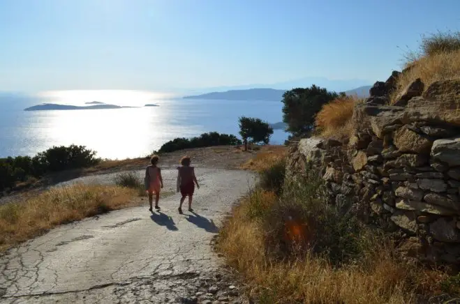 Unser Archivfoto (© Griechenland Zeitung / Jan Hübel) entstand auf Andros.